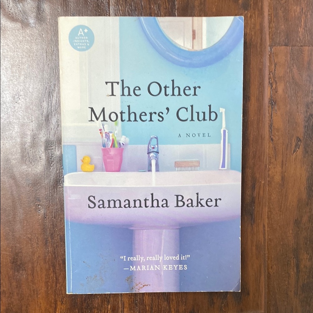 The Other Mother's Club - Fresh Funny Fiction About A Stepmother's Support Group